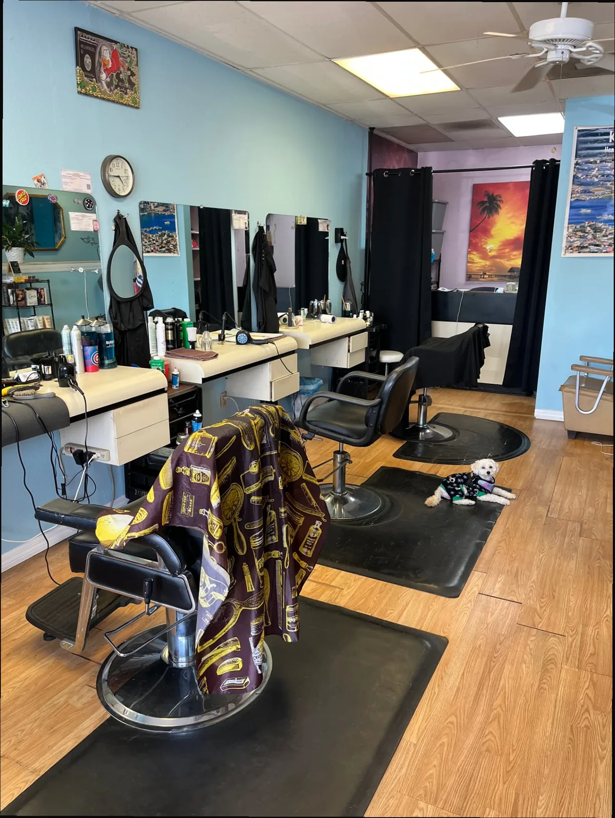 Inside Hair Affair Barbershop & Salon in Tarpon Springs, FL — barber chairs, mirrored styling stations and hair salon area serving Palm Harbor and Holiday