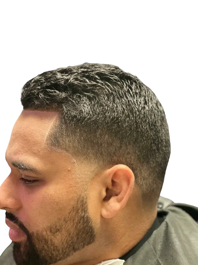 Men's scissor-over-comb shear cut with low temp faded sides and a blended beard fade, Hair Affair Barbershop, Tarpon Springs, FL